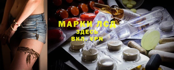 дурь Заводоуковск