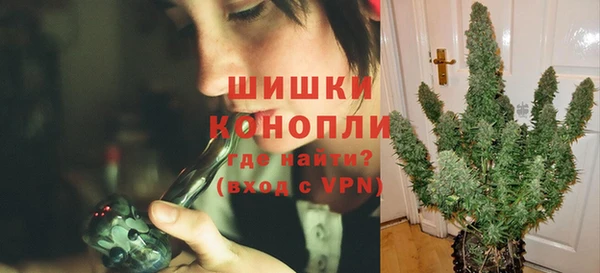 дурь Заводоуковск