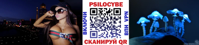 Галлюциногенные грибы Psilocybe  Северск 