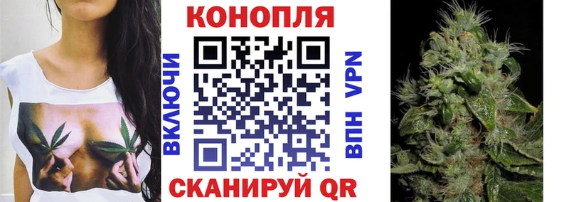 Марихуана тримм  мега как зайти  Северск 